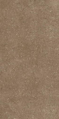 Керамогранит Гранитея G214 Arkaim (Аркаим) Brown 120х60 матовый