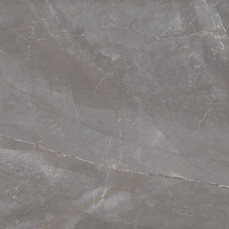 Керамогранит Laparet Timeless Taupe серо-бежевый LP6060G0051R 59,5х59,5 матовый карвинг