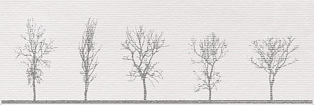 04-01-1-17-03-06-3050-0 Фореста декор 60х20, Нефрит-Керамика