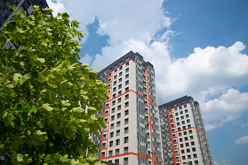 Технический керамогранит Уральский гранит 30х30 коллекции Стандарт