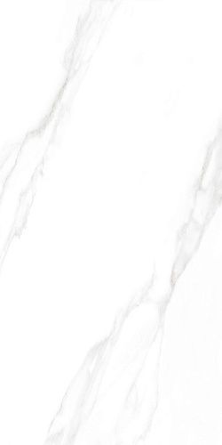 Керамогранит Ceradim Carrara Excellent Silver белый 60х120 Матовый