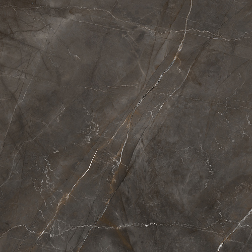 Керамогранит LP6060G0061R Timeless Marrone матовый 59,5х59,5, Laparet