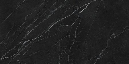 Керамогранит Laparet Opera Nero чёрный LP6012G0201R 59,5х119,1 матовый карвинг