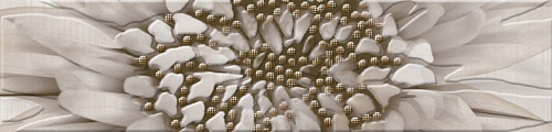 К6131 Zebrano (Зебрано) бежевый бордюр 25х6, Golden Tile