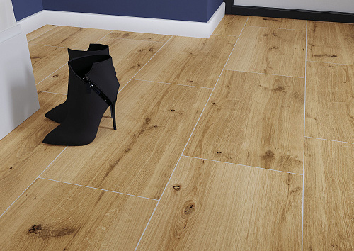 Woodhouse (Вудхауз) 30х60, Cersanit