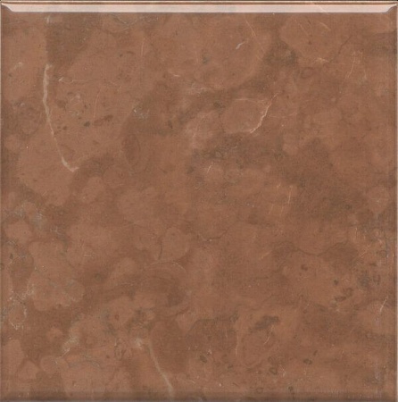 5289 Стемма коричневый глянцевый плитка д\стен 20х20, Керама Марацци