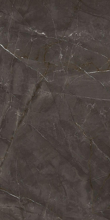 Керамогранит Laparet Timeless Marrone коричневый LP6012G0051R 59,5х119,1 матовый карвинг