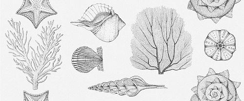 10100001536 Aqua (Аква) white wall 01 плитка для стен 25х60, Gracia Ceramica