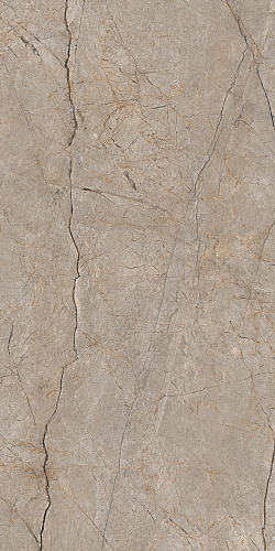 Керамогранит A17124 Futura (Футура) тонкий Silver Roots серый ректификат 60х120, Cersanit