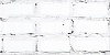 503021201 Лофт белый плитка для стен 20,1х40,5, Azori