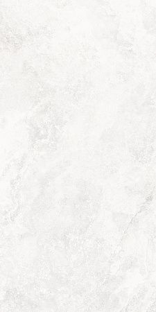 Керамогранит Laparet Antico Pearl светло-серый LP6012G0071R 59,5х119,1 матовый карвинг