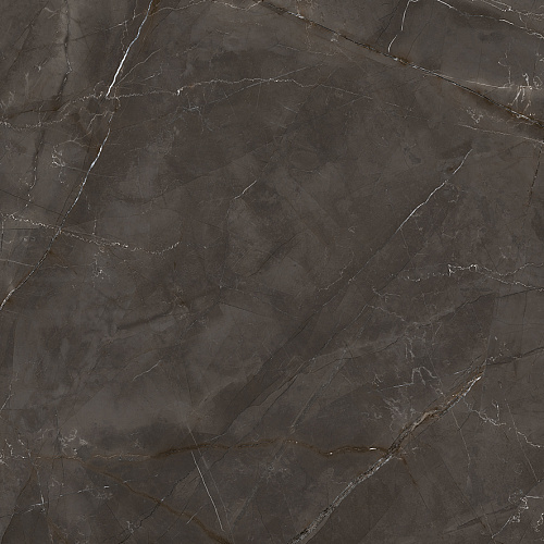 Керамогранит LP6060G0061R Timeless Marrone матовый 59,5х59,5, Laparet