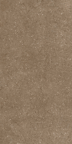 Керамогранит Гранитея G214 Arkaim (Аркаим) Brown 120х60 матовый