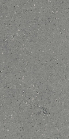 Керамогранит Гранитея G213 Arkaim (Аркаим) Grey 120х60 матовый
