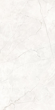 Керамогранит Laparet Connect Pearl светло-серый SG50004720R 59,5х119,1 матовый