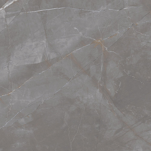 Керамогранит LP6060G0051R Timeless Taupe матовый 59,5х59,5, Laparet