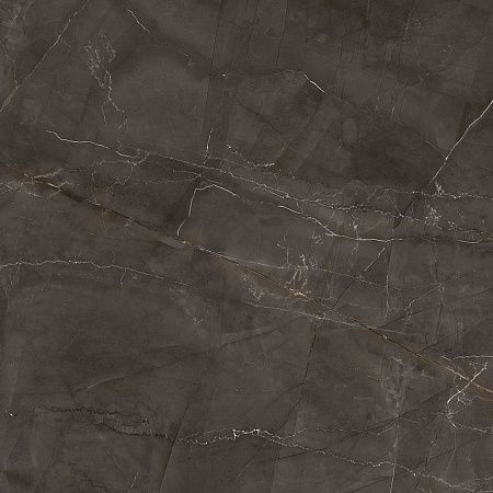 Керамогранит Laparet Timeless Marrone коричневый LP6060G0061R 59,5х59,5 матовый карвинг