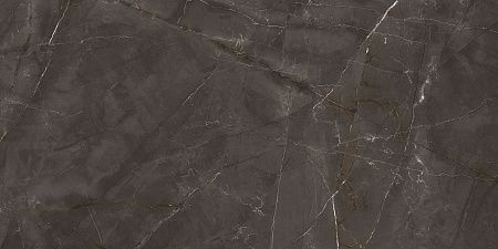 Керамогранит Laparet Timeless Marrone коричневый LP6012G0051R 59,5х119,1 матовый карвинг