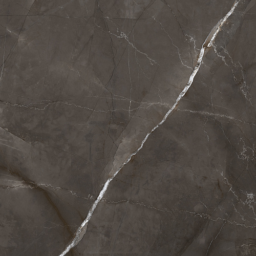 Керамогранит LP6060G0061R Timeless Marrone матовый 59,5х59,5, Laparet