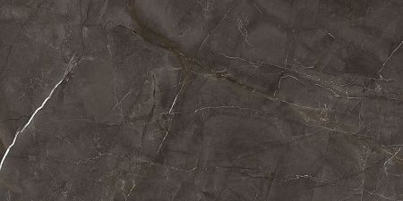 Керамогранит Laparet Timeless Marrone коричневый LP6012G0051R 59,5х119,1 матовый карвинг