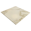 10400000635 Carrara Premium white PG 01 глянцевый керамогранит 60х60, Gracia Ceramica