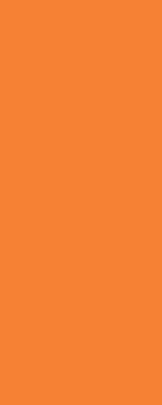 7104 Городские цветы оранжевый плитка д\стен 50х20, Керама Марацци