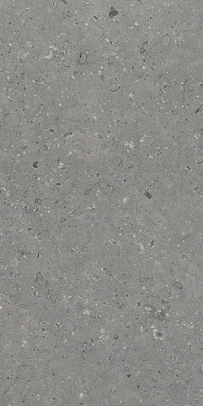 Керамогранит Гранитея G213 Arkaim (Аркаим) Grey 120х60 матовый
