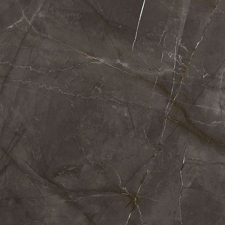 Керамогранит Laparet Timeless Marrone коричневый LP6060G0061R 59,5х59,5 матовый карвинг