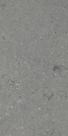 Керамогранит Гранитея G213 Arkaim (Аркаим) Grey 120х60 матовый