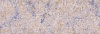 170515-1033-0 Реджио декор 60х20, Нефрит-Керамика