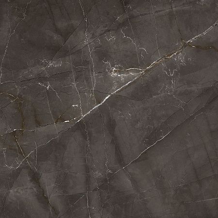 Керамогранит Laparet Timeless Marrone коричневый LP6060G0061R 59,5х59,5 матовый карвинг