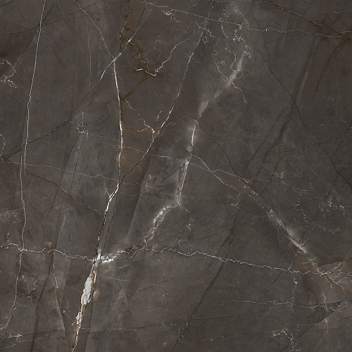 Керамогранит LP6060G0061R Timeless Marrone матовый 59,5х59,5, Laparet