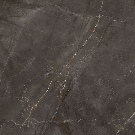 Керамогранит Laparet Timeless Marrone коричневый LP6060G0061R 59,5х59,5 матовый карвинг