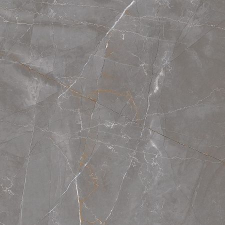 Керамогранит Laparet Timeless Taupe серо-бежевый LP6060G0051R 59,5х59,5 матовый карвинг