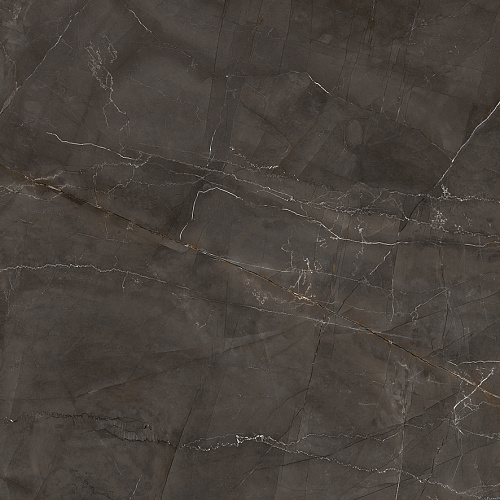 Керамогранит LP6060G0061R Timeless Marrone матовый 59,5х59,5, Laparet