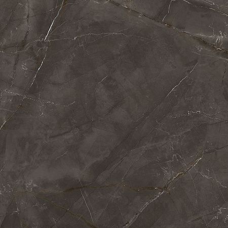 Керамогранит Laparet Timeless Marrone коричневый LP6060G0061R 59,5х59,5 матовый карвинг