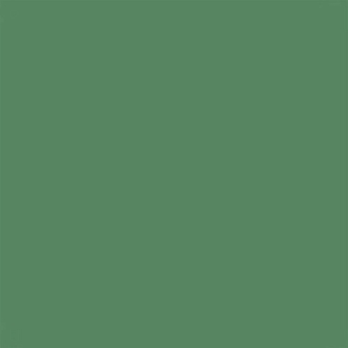 10GCR 0007 Керамогранит ГРЕС зеленый матовый MR КГ 60х60, Евро-Керамика