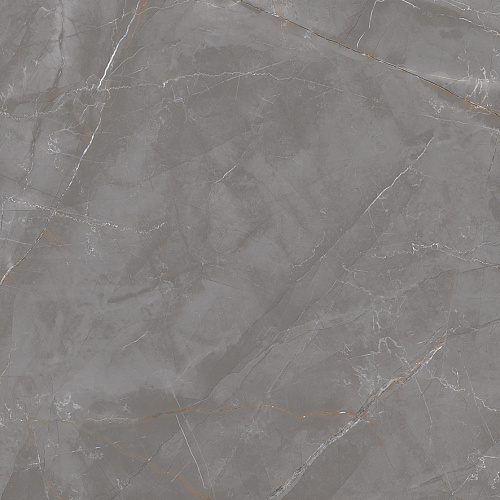 Керамогранит LP6060G0051R Timeless Taupe матовый 59,5х59,5, Laparet