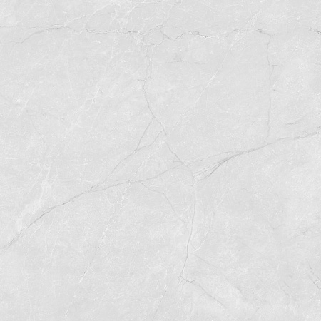 Керамогранит Laparet Berna Silver светло-серый LP6060G0241R 59,5х59,5 структурный карвинг