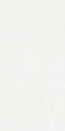 Керамогранит Laparet Opera Bianco белый LP6012G0191R 59,5х119,1 матовый карвинг