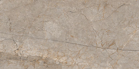 A17124 Futura (Футура) тонкий Silver Roots серый ректификат керамогранит 60х120, Cersanit