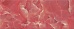 504141101 Navarra (Наварра) Carmin красный плитка для стен 20,1х50,5, Azori