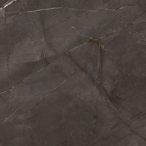 Керамогранит LP6060G0061R Timeless Marrone матовый 59,5х59,5, Laparet