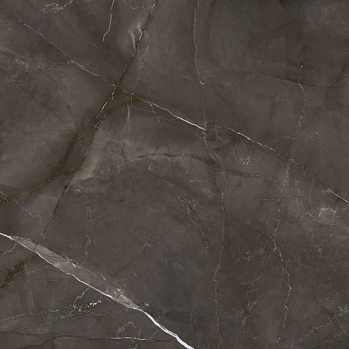 Керамогранит LP6060G0061R Timeless Marrone матовый 59,5х59,5, Laparet