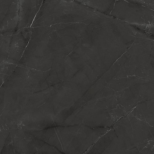 Керамогранит Laparet Timeless Grafite графит LP6060G0041R 59,5х59,5 матовый карвинг