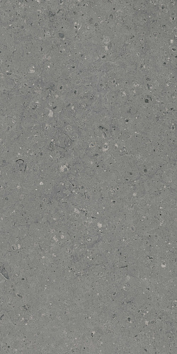 Керамогранит Гранитея G213 Arkaim (Аркаим) Grey 120х60 матовый