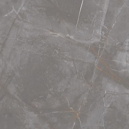 Керамогранит Laparet Timeless Taupe серо-бежевый LP6060G0051R 59,5х59,5 матовый карвинг