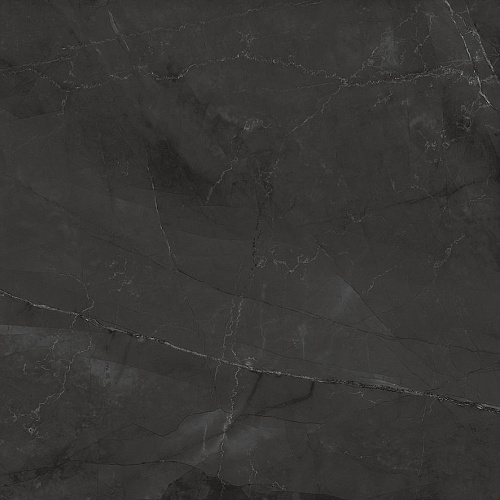 Керамогранит Laparet Timeless Grafite графит LP6060G0041R 59,5х59,5 матовый карвинг