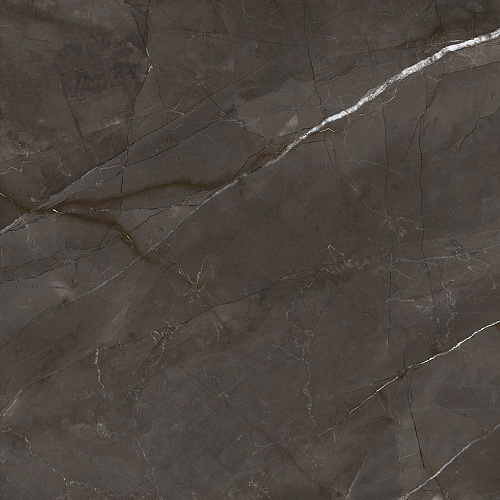 Керамогранит LP6060G0061R Timeless Marrone матовый 59,5х59,5, Laparet