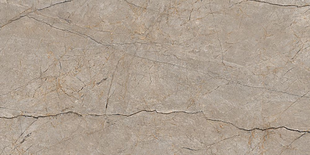 A17124 Futura (Футура) тонкий Silver Roots серый ректификат керамогранит 60х120, Cersanit